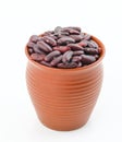 Red Beans azuki beans Royalty Free Stock Photo