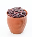 Red Beans azuki beans Royalty Free Stock Photo