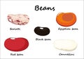 Red beans, black, borlotti, cannellini, egyptians