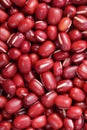 Red beans close up - vertical Royalty Free Stock Photo