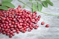 Red beans pile and leaf on wooden background.