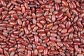 Red beans with visible details. background or texture Royalty Free Stock Photo