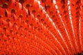 Red and beautiful Chinese lantern Royalty Free Stock Photo