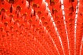 Red and beautiful Chinese lantern Royalty Free Stock Photo