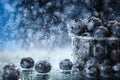 Big blueberries in a plastic box closeup under the water drops in a dark blue background. Healthy lifestyle. Multivitamin cocktail Royalty Free Stock Photo