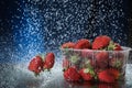 Strawberries in a plastic box closeup under the water drops in a dark blue background. Healthy lifestyle. Multivitamin cocktail. S Royalty Free Stock Photo