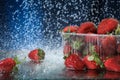 Strawberries in a plastic box closeup under the water drops in a dark blue background. Healthy lifestyle. Multivitamin cocktail. S Royalty Free Stock Photo