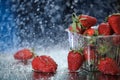 Strawberries in a plastic box closeup under the water drops in a dark blue background. Healthy lifestyle. Multivitamin cocktail. S Royalty Free Stock Photo