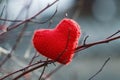 Red festive beautiful knitted heart hanging among the branches o