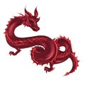 Red beautiful oriental dragon on a white background