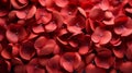 Red beautiful passionate fresh rose petals, love romantic valentine\'s day