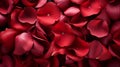 Red beautiful passionate fresh rose petals, love romantic valentine\'s day