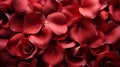 Red beautiful passionate fresh rose petals, love romantic valentine\'s day