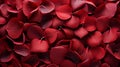 Red beautiful passionate fresh rose petals, love romantic valentine\'s day