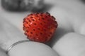 Red beautiful strawberry strawberry close-up