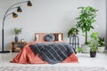 Red bed with patterned blanket between lamp and plants in grey bedroom interior