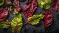 Red beet leaves on black, flat lay, AI generative