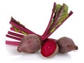 Red Beet root Royalty Free Stock Photo