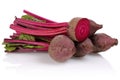 Red Beet root Royalty Free Stock Photo