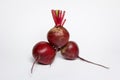 Red beet on white background Royalty Free Stock Photo