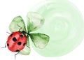 Red beetle with black spots on clover leaf watercolor background