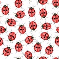 Red beetle with black spots watercolor illustration handwritten