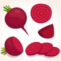 Red beetroot. Vector illustration