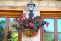 Red begonias in a vase hanging on a wall