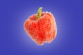 Red bell pepper with bubbles of soda on a blue Royalty Free Stock Photo