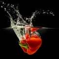 Red bell pepper falling in water with splash on black background Royalty Free Stock Photo