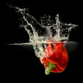 Red bell pepper falling in water with splash on black background Royalty Free Stock Photo