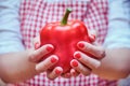 Red bell pepper in female hands, close-up. A woman in a plaid apron holds a ripe vegetable for cooking in the kitchen