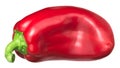 Red bell pepper Grueso de Plaza