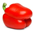 Red bell pepper on an isolated white background. Royalty Free Stock Photo