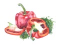 Red bell pepper with oregano on white back