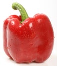 Red bell pepper paprika Royalty Free Stock Photo