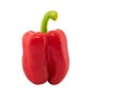 Red bell pepper, paprika isolated on white background Royalty Free Stock Photo