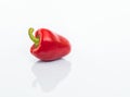 Red bell pepper (paprika)  on white background Royalty Free Stock Photo