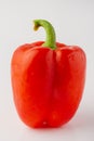 Red bell pepper or paprika isolated on a white background, for design Royalty Free Stock Photo