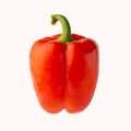 Red bell pepper or paprika isolated on a white background, for design Royalty Free Stock Photo