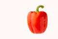 Red bell pepper or paprika isolated on a white background, for design Royalty Free Stock Photo