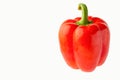 Red bell pepper or paprika isolated on a white background, for design Royalty Free Stock Photo