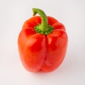 Red bell pepper or paprika isolated on a white background, for design Royalty Free Stock Photo