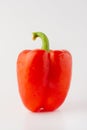 Red bell pepper or paprika isolated on a white background, for design Royalty Free Stock Photo