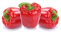 Red bell pepper peppers paprika paprikas vegetable food isolated Royalty Free Stock Photo