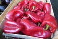 Red bell pepper. Red Bulgarian pepper