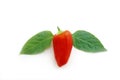 Red bell pepper sliced into pieces and a pair of green leaves , white background