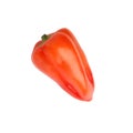 Red bell pepper sweet, capsicum, paprika isolated on white background. One whole fresh vegetable Royalty Free Stock Photo