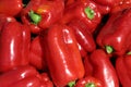 Red bell peppers Royalty Free Stock Photo