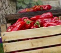 Red Bell Peppers griling